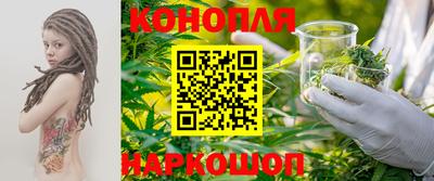 прущие грибы Можга